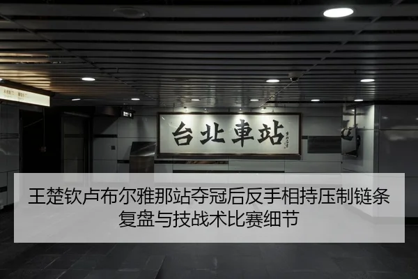 王楚钦卢布尔雅那站夺冠后反手相持压制链条复盘与技战术比赛细节